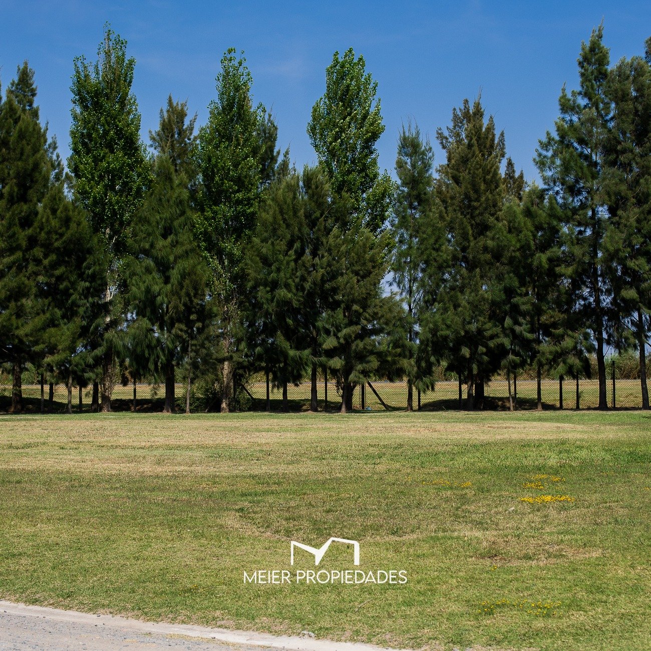 Lote en Barrio "Lagos de San Eliseo" Canning 991m2 - Inmejorable Ubicacion - LOTE: 27 - Imagen 5