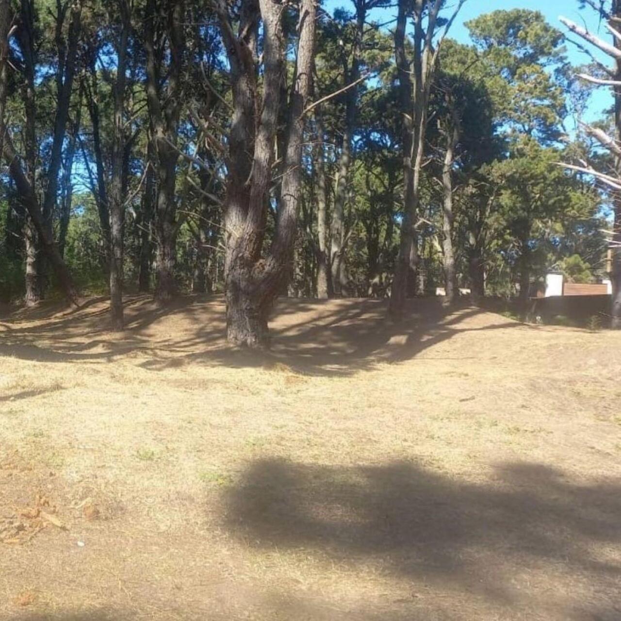 Lote en Costa del Este - 480 M2 Barrio "LA RESERVA" - Los Cedros y Violetas - Imagen 4