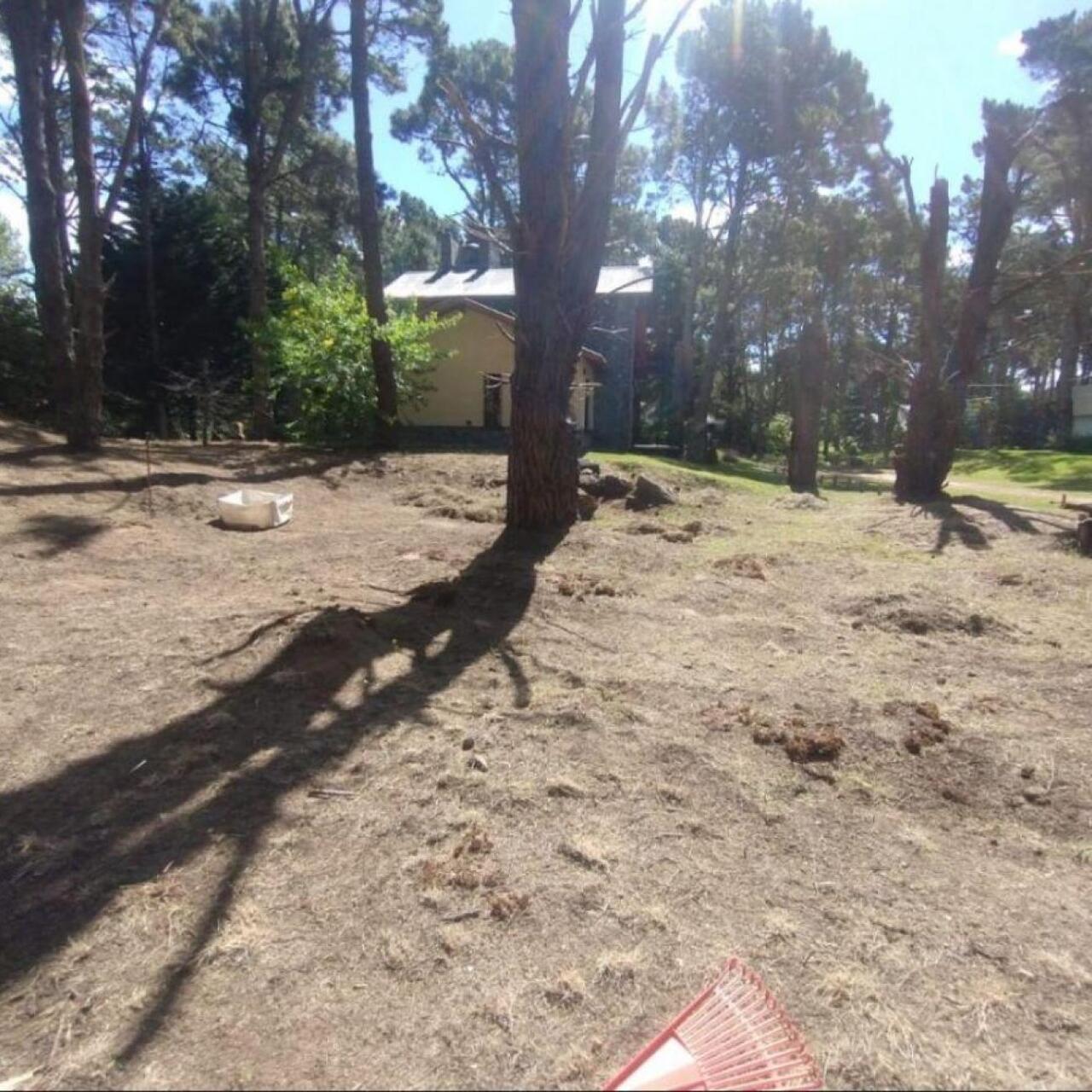 Lote en Costa del Este - 480 M2 Barrio "LA RESERVA" - Los Cedros y Violetas - Imagen 5