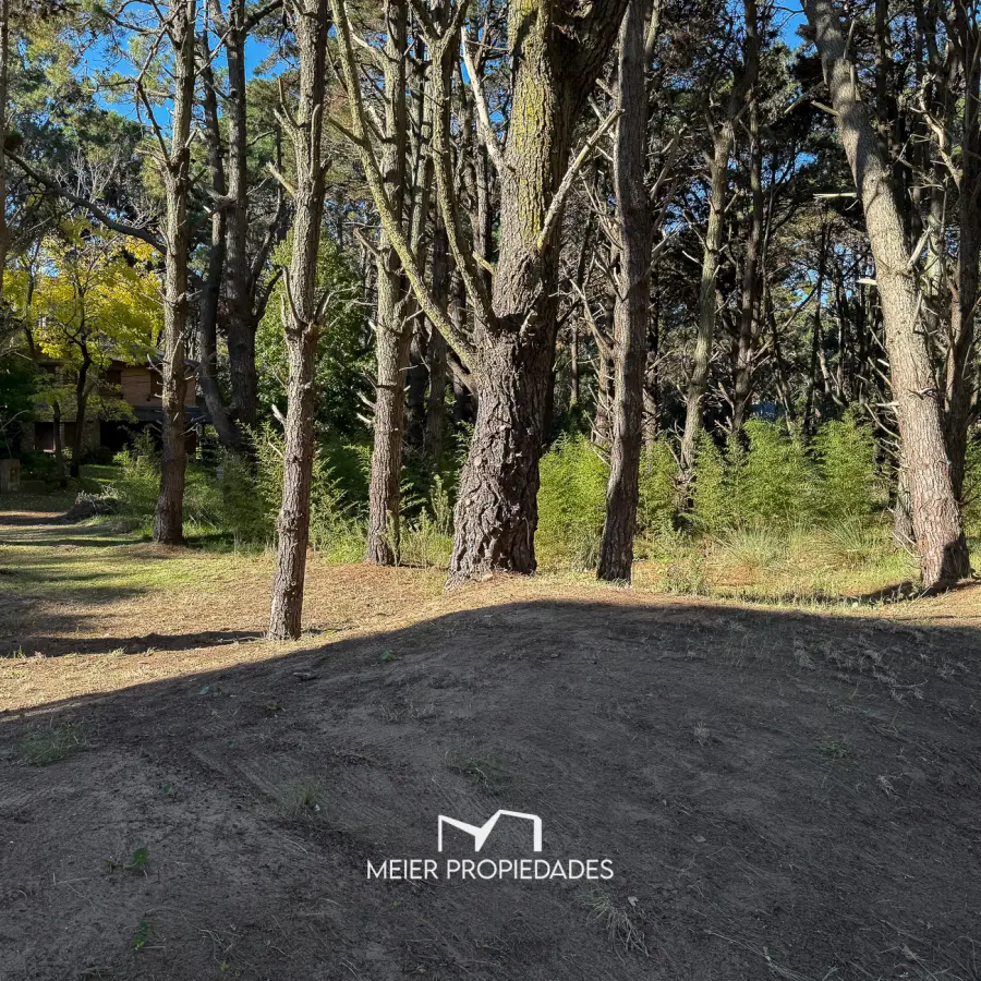 Lote en Costa del Este - 480 M2 Barrio "LA RESERVA" - Los Cedros y Violetas - Imagen 3