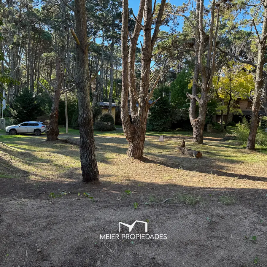 Lote en Costa del Este - 480 M2 Barrio "LA RESERVA" - Los Cedros y Violetas - Imagen 4