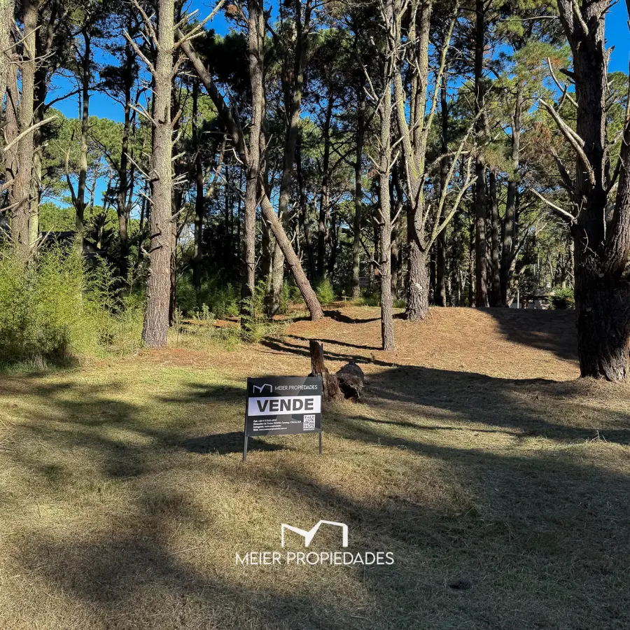 Lote en Costa del Este - 480 M2 Barrio "LA RESERVA" - Los Cedros y Violetas - Imagen 6