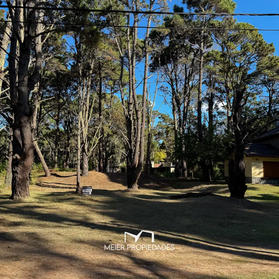 Lote en Costa del Este - 480 M2 Barrio "LA RESERVA" - Los Cedros y Violetas - Imagen 7