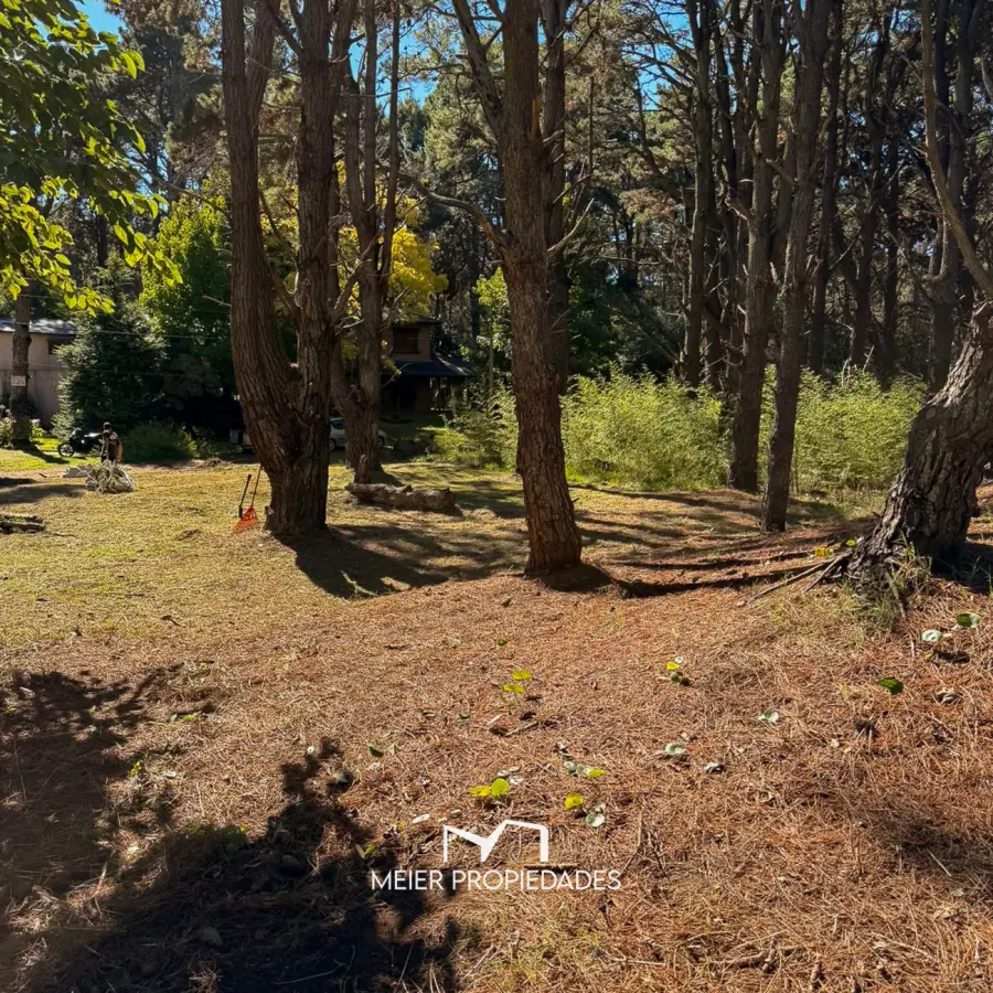 Lote en Costa del Este - 480 M2 Barrio "LA RESERVA" - Los Cedros y Violetas - Imagen 8