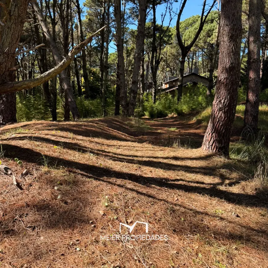 Lote en Costa del Este - 480 M2 Barrio "LA RESERVA" - Los Cedros y Violetas - Imagen 9