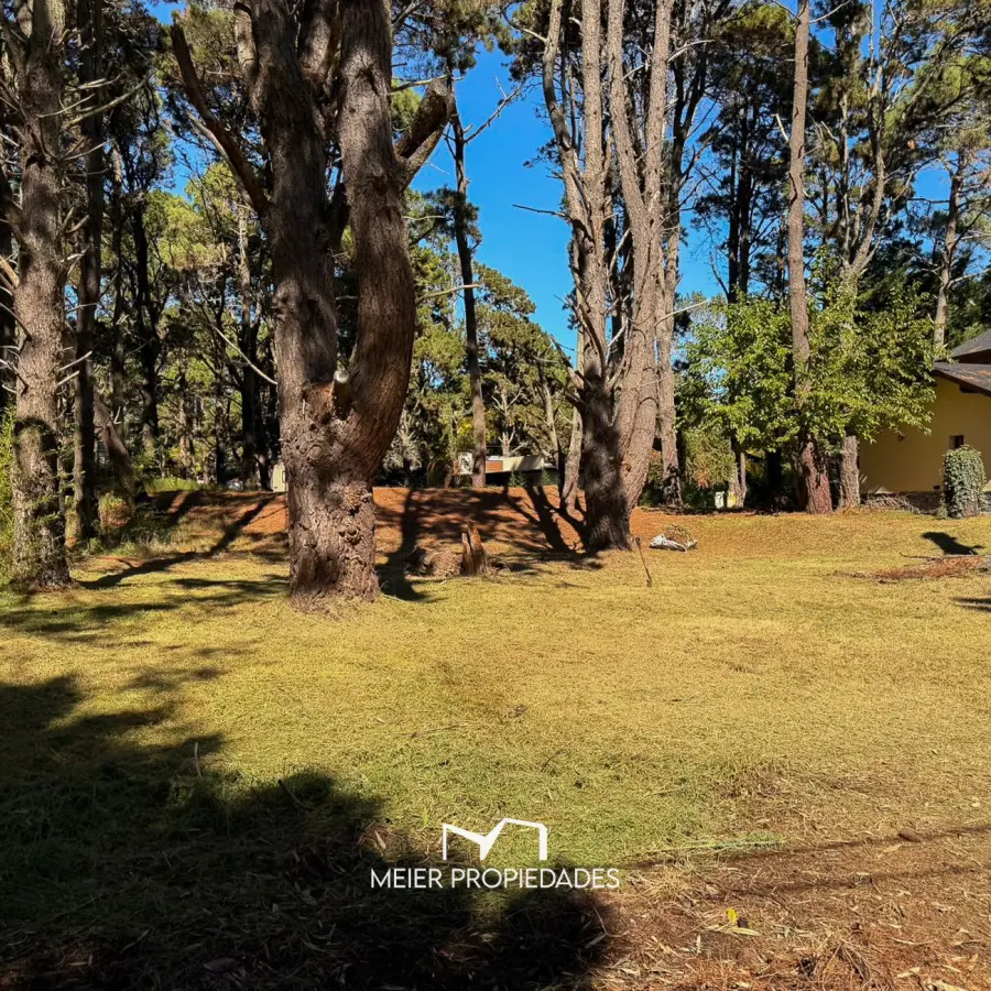 Lote en Costa del Este - 480 M2 Barrio "LA RESERVA" - Los Cedros y Violetas - Imagen 11