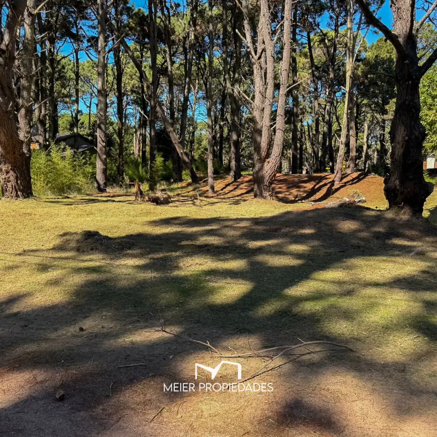 Lote en Costa del Este - 480 M2 Barrio "LA RESERVA" - Los Cedros y Violetas - Imagen 12