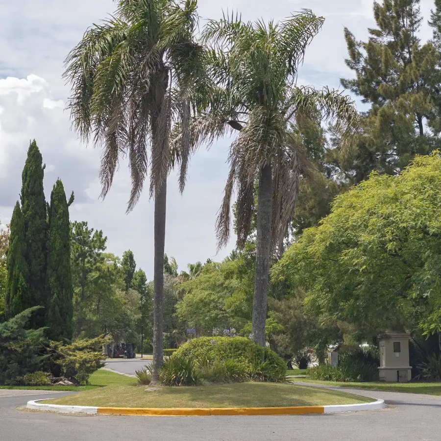 Lote en Barrio "San Eliseo Golf" Canning 1110m2 - Inmejorable Ubicacion - LOTE: 2.15 - Imagen 7